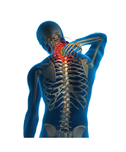 Orthopaedics & Shoulder/Upper Limb