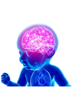 Paediatrician Neonatology